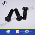 China Supplier Grade 4.8 / 8.8 / 10.9 / 12.9 Black Button Kopfschrauben